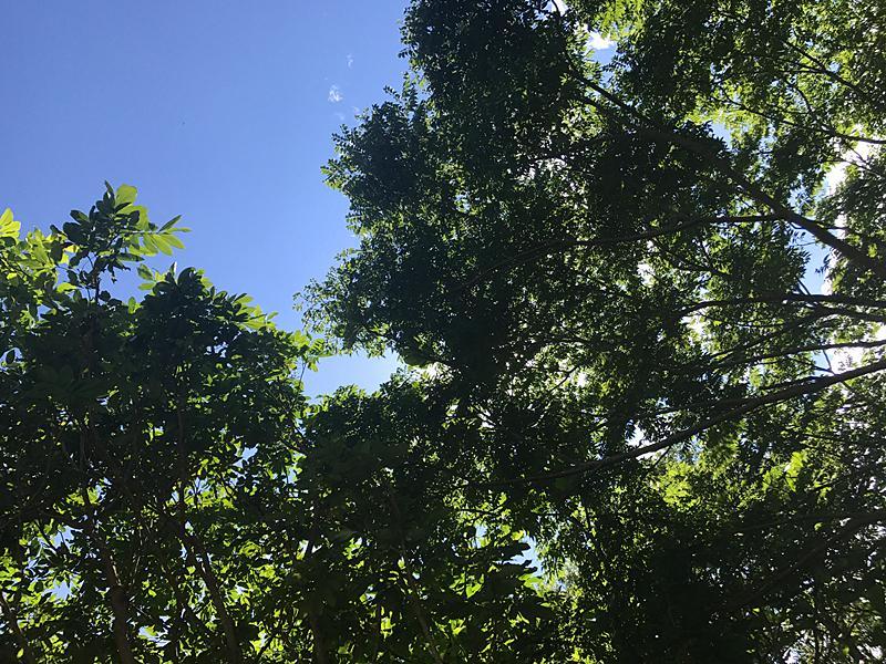 צ'ישאנג 玉蟾園民宿 寵物友善 Yuchanyuan B&B מראה חיצוני תמונה